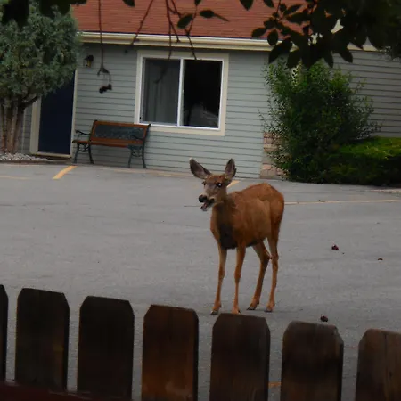 Salida Inn & Monarch Suites-3