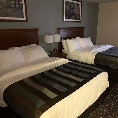 Wingate By Wyndham Brighton-3