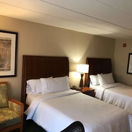 Hilton Garden Inn Addison-3