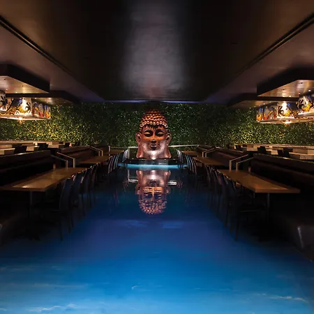 Hard Rock Hotel Riviera Maya (Adults Only)-3
