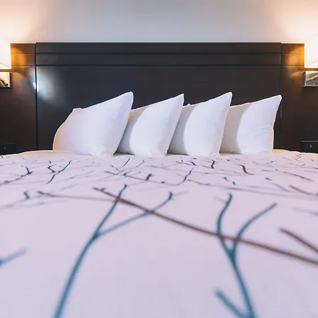 Service Plus Inns And Suites-2