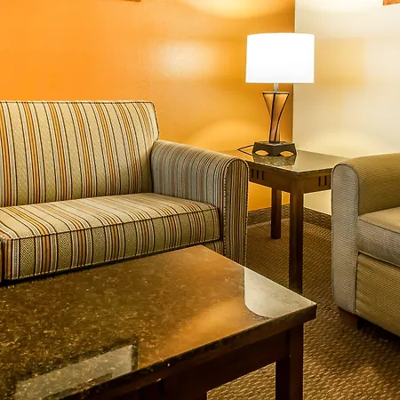 Comfort Inn & Suites Midtown-3
