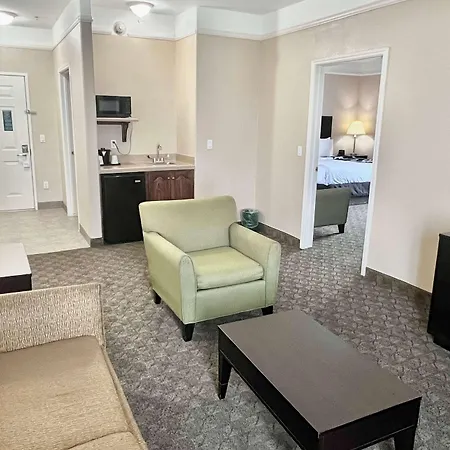 La Quinta Inn & Suites By Wyndham Pharr Rgv Medical Center-3
