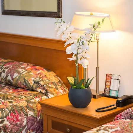 Shore Haven Resort Inn-3