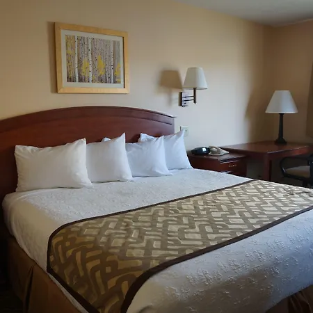 Luxury Inn & Suites-3