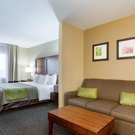 Comfort Inn Garden City-3