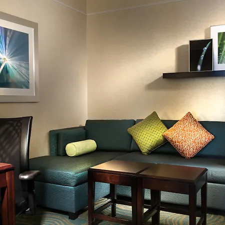 Springhill Suites Dallas Dfw Airport North/Grapevine-2