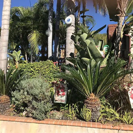 Always Inn San Clemente Bed & Breakfast By Elevate Rooms-3