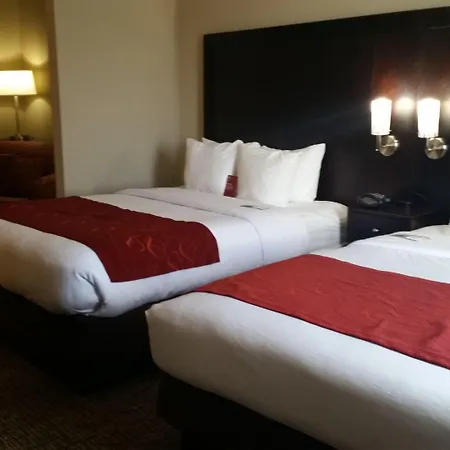 Comfort Suites Bentonville - Rogers-3