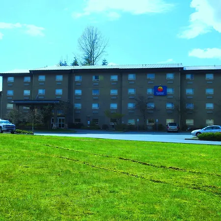 Comfort Inn & Suites-3
