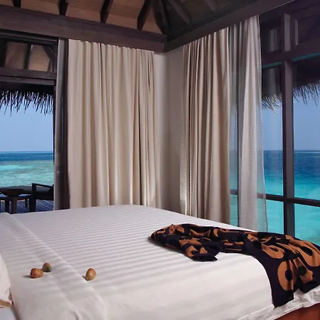 Coco Bodu Hithi - Stay 4 Nights Or More And Enjoy 30 Percent Off Shared Roundtrip Speedboat, Valid For Stays Until 31St August 2026-3