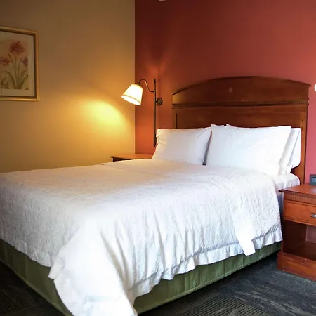 Hampton Inn Mountain Home-2