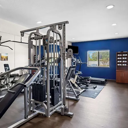 Comfort Suites Lindale-3