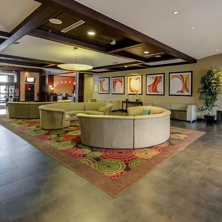 Holiday Inn Arlington Northeast By Ihg-2
