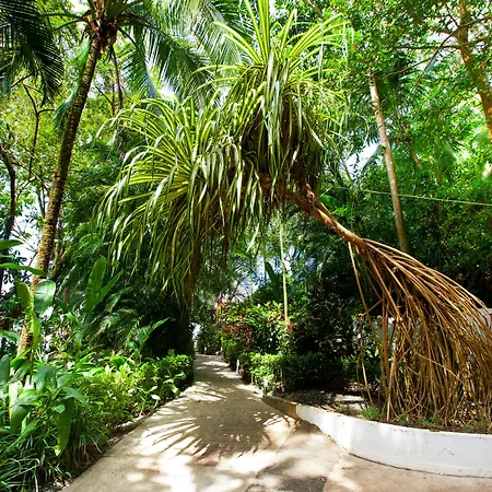 Makanda By The Sea Hotel Adults Only-2