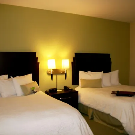 Hampton Inn Alpine-2