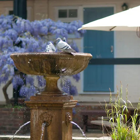 Cottesmore Hotel Golf & Country Club-2