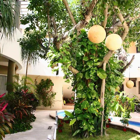 Boutique Hotel Posada 06 Tulum (Adults Only)-3