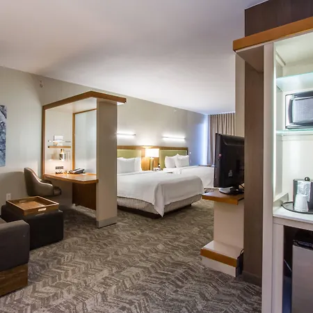 Springhill Suites By Marriott San Angelo-2