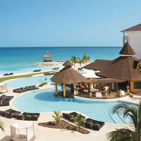 Secrets Wild Orchid Adults Only-2