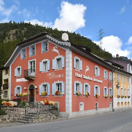Hotel Steinbock Pontresina-3