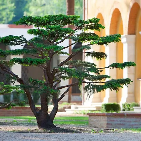 La Bastide En Gascogne-3