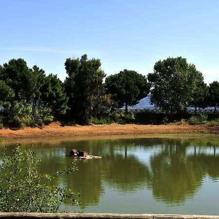 Popilia Country Resort-2