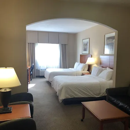 Holiday Inn Express Hotel & Suites Lansing-Dimondale By Ihg-3