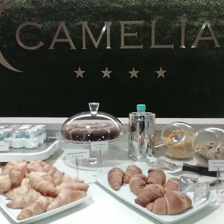 Hotel Camelia-2