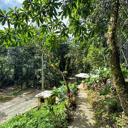 Rincon de la Sierra Minca-2
