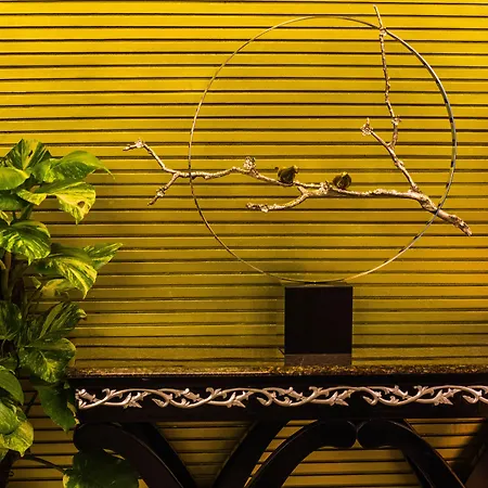 Hotel Bengal Canary Park-2