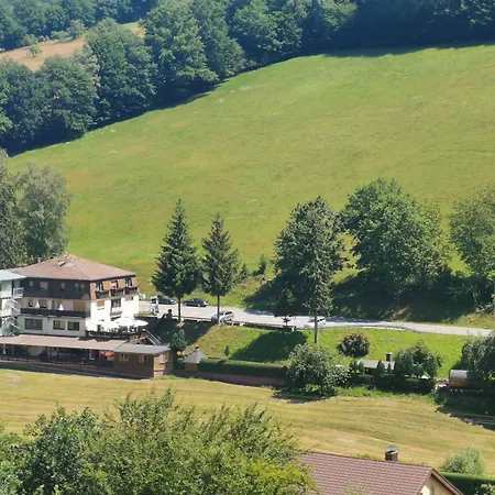 Hotel Grüner Baum mit Restaurant&Wellness-3