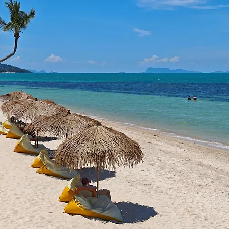 Mimosa Resort & Spa-3
