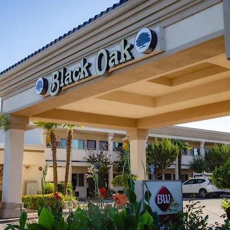 Best Western Plus Black Oak-3