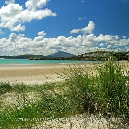 Downings Bay Hotel-3