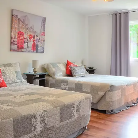 Auberge Motel Drakkar-2