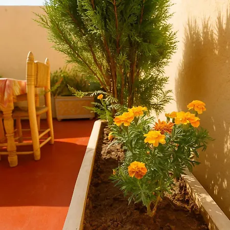 Riad Safran Rouge Jacuzzi Rooftop-3