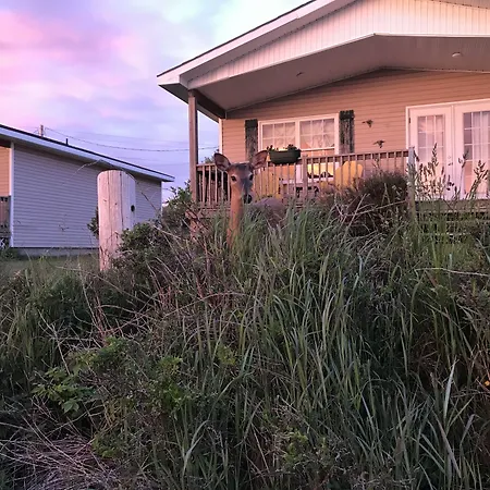Whispering Waves Cottages-3