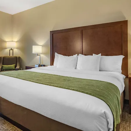 Comfort Inn & Suites Edgewood-2