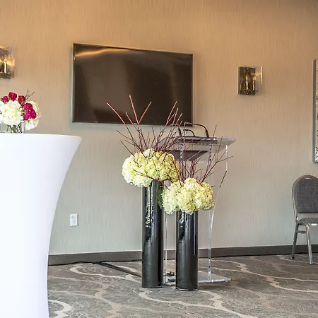 Best Western Plus St. John'S Airport Hotel And Suites-2