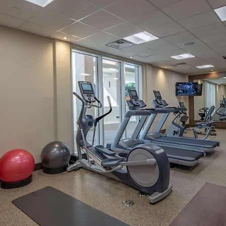 Hilton Garden Inn Dallas At Hurst Conference Center-3