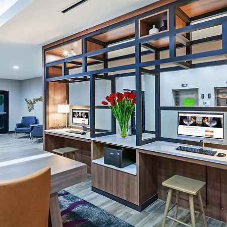 Holiday Inn Lubbock South By Ihg-2