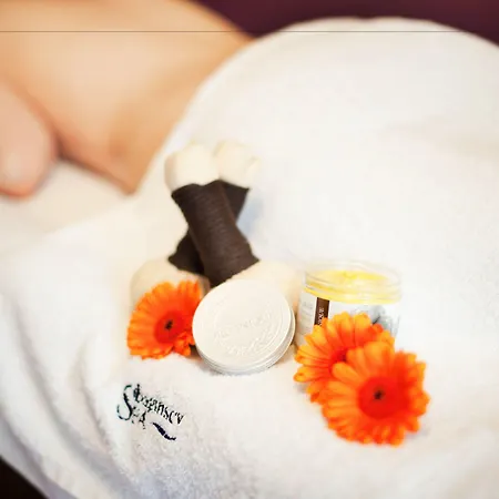 Baginscy Spa-2