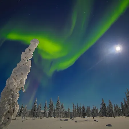 Northern Lights Village Levi-2