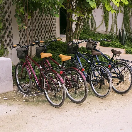 Alea Tulum-3