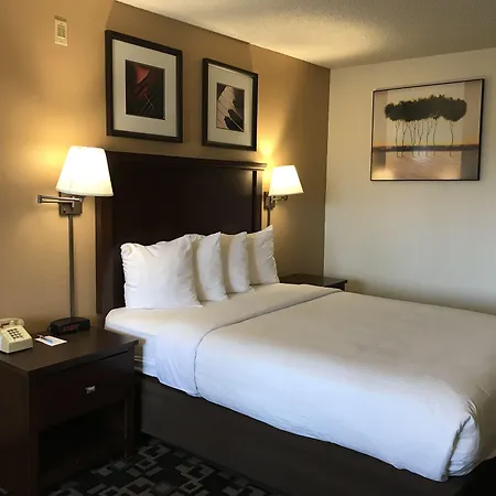 Morningglory Inn & Suites-3