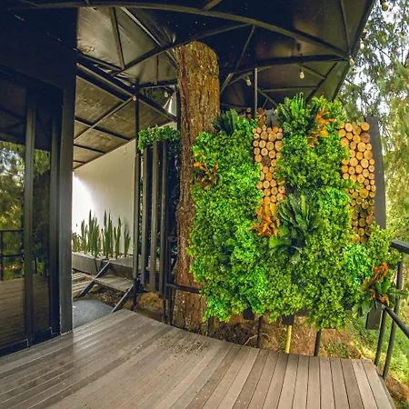 Mumu By Bernalo Hotels-2