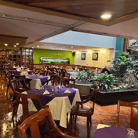 Hotel Don Saul-3