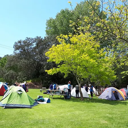 Orere Point Top 10 Holiday Park-3