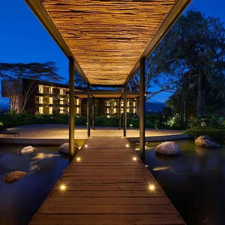 The Brown, Guatape, Autograph Collection-3